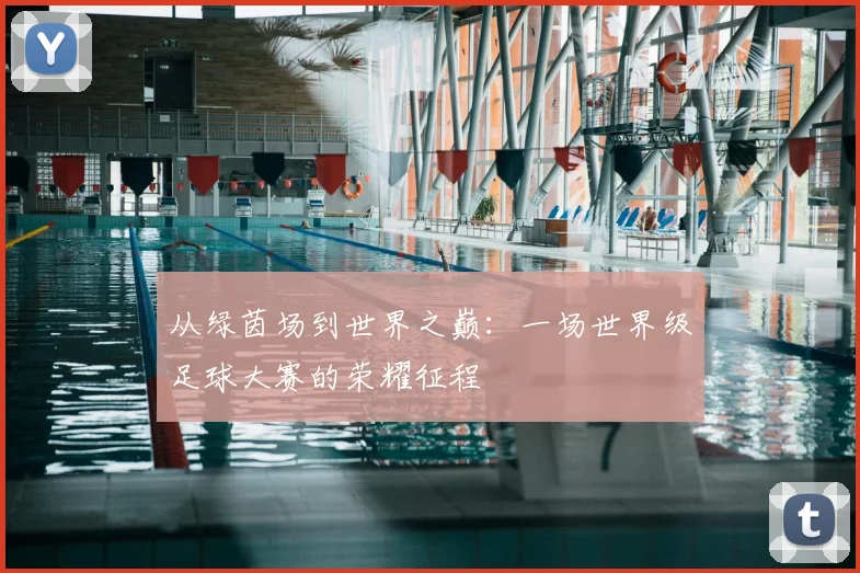 从绿茵场到世界之巅:一场世界级足球大赛的荣耀征程