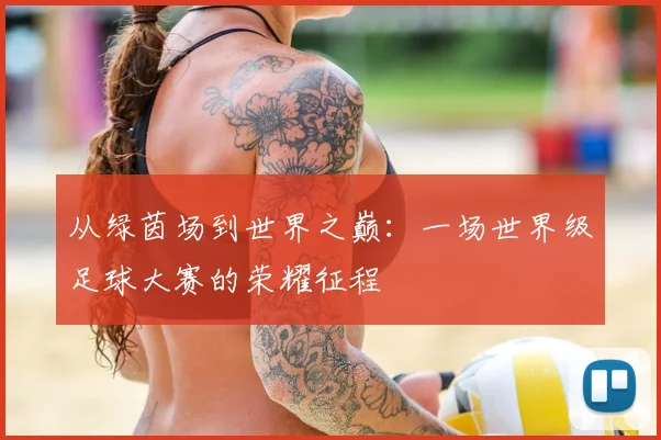 从绿茵场到世界之巅:一场世界级足球大赛的荣耀征程